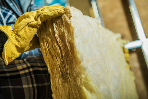 Best Specialized Insulation Services in Jonesboro, LA