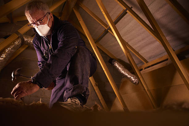 Trusted Jonesboro, LA Insulation Contractor Experts